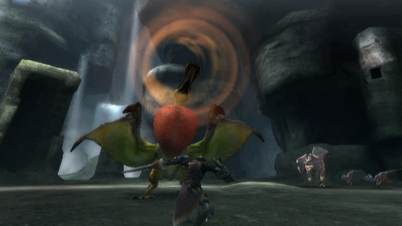 Illustration for article titled New Monster Hunter 3 Screens